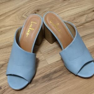 Lulu's Light Blue Mules